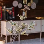 Apartament Sunrock
