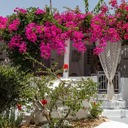 Sunrock * 斯泰里达