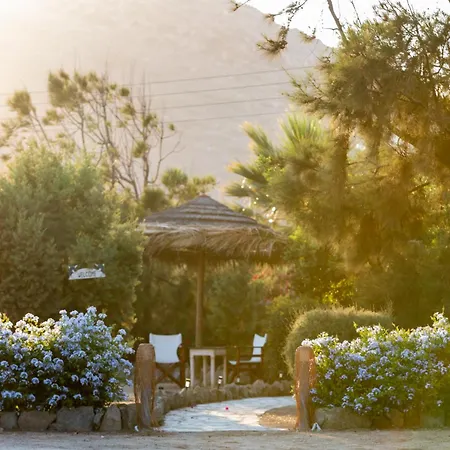 Sunrock * 斯泰里达