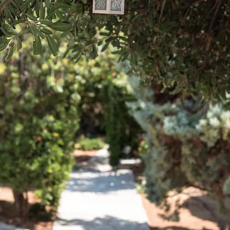 Sunrock * 斯泰里达