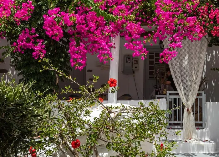 Sunrock * Στελίδα