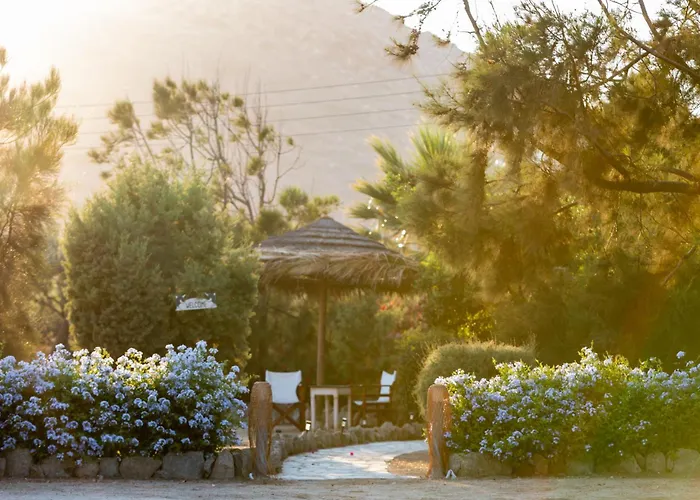 Sunrock * Στελίδα