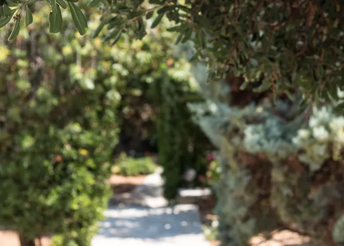 Sunrock * Στελίδα